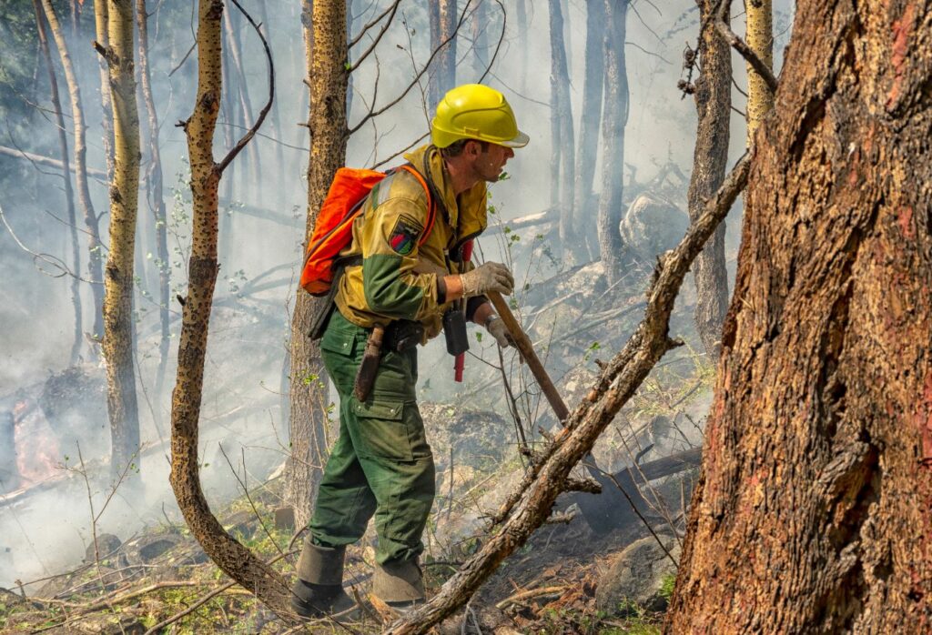 Лесной пожарный, Лесной пожарный обучение, Лесной пожарный курсы